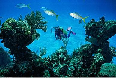 SE社ADV《结合男子》新DLC上线 铁之志献官铁仁武登场